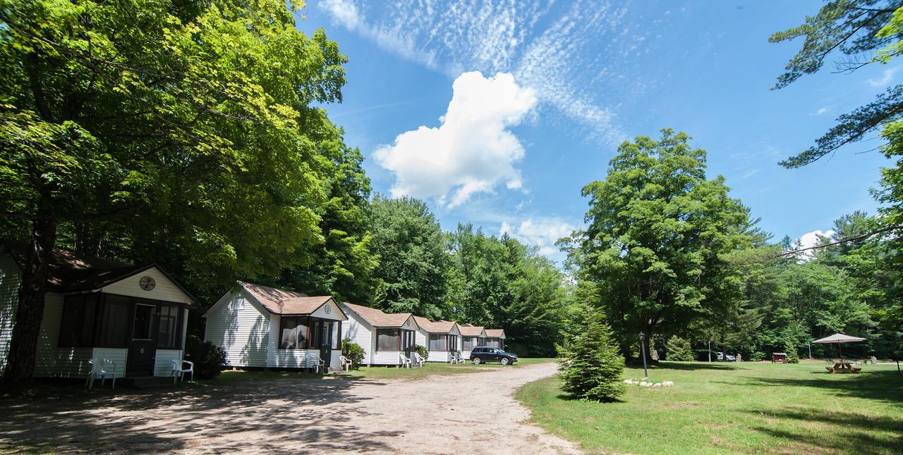 Profile Motel&Cottages Lincoln Exteriör bild